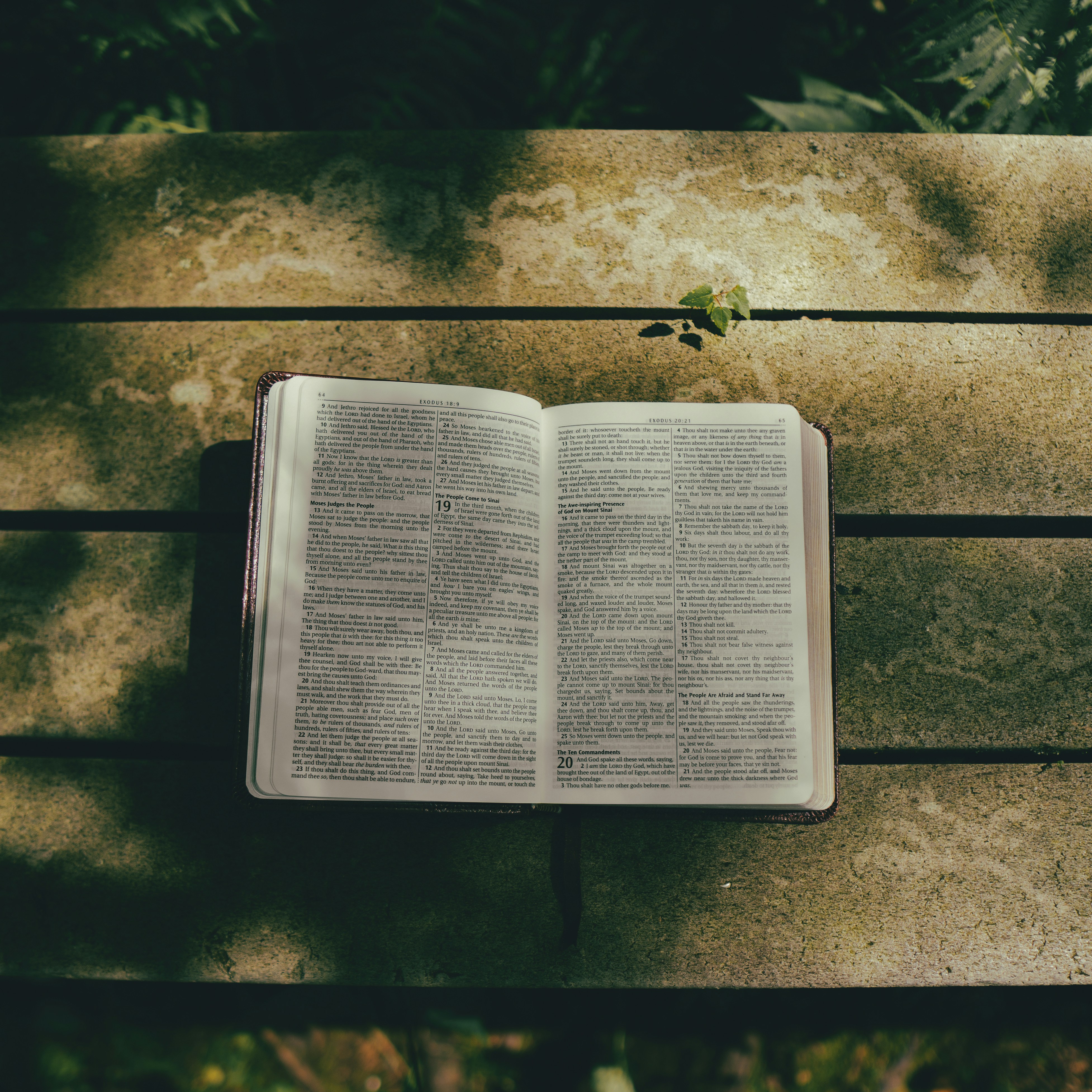 bible